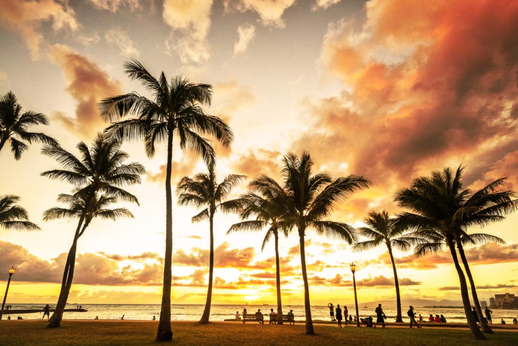 Beautiful sunset in Island of Oahu